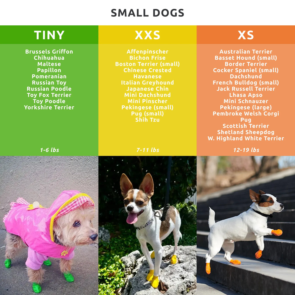 Dog Boot Set product image 5