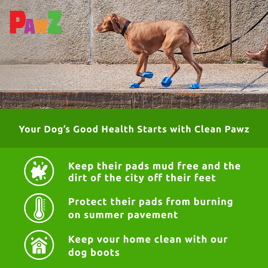 Dog Boot Set product image 6