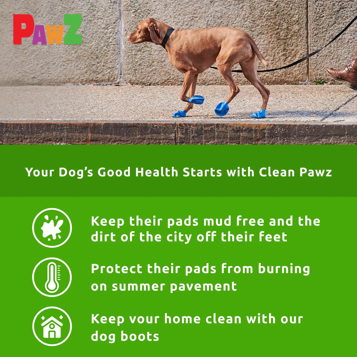 Dog Boot Set product image 6