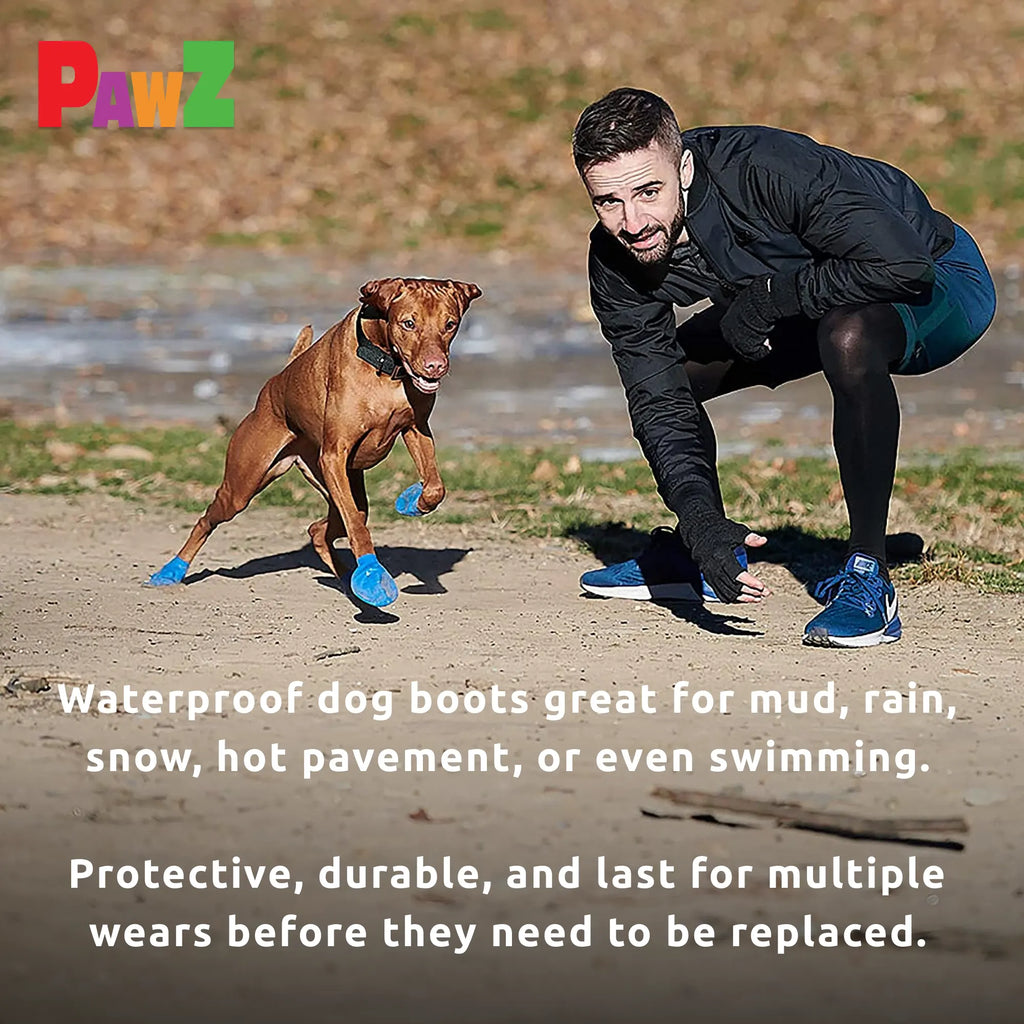 Dog Boot Set product image 8