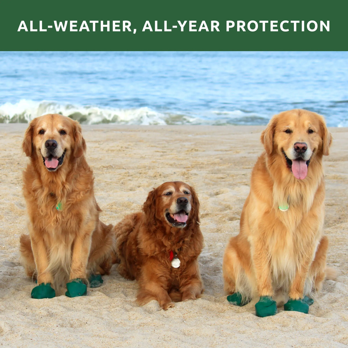 Dog Boot Set product image 48