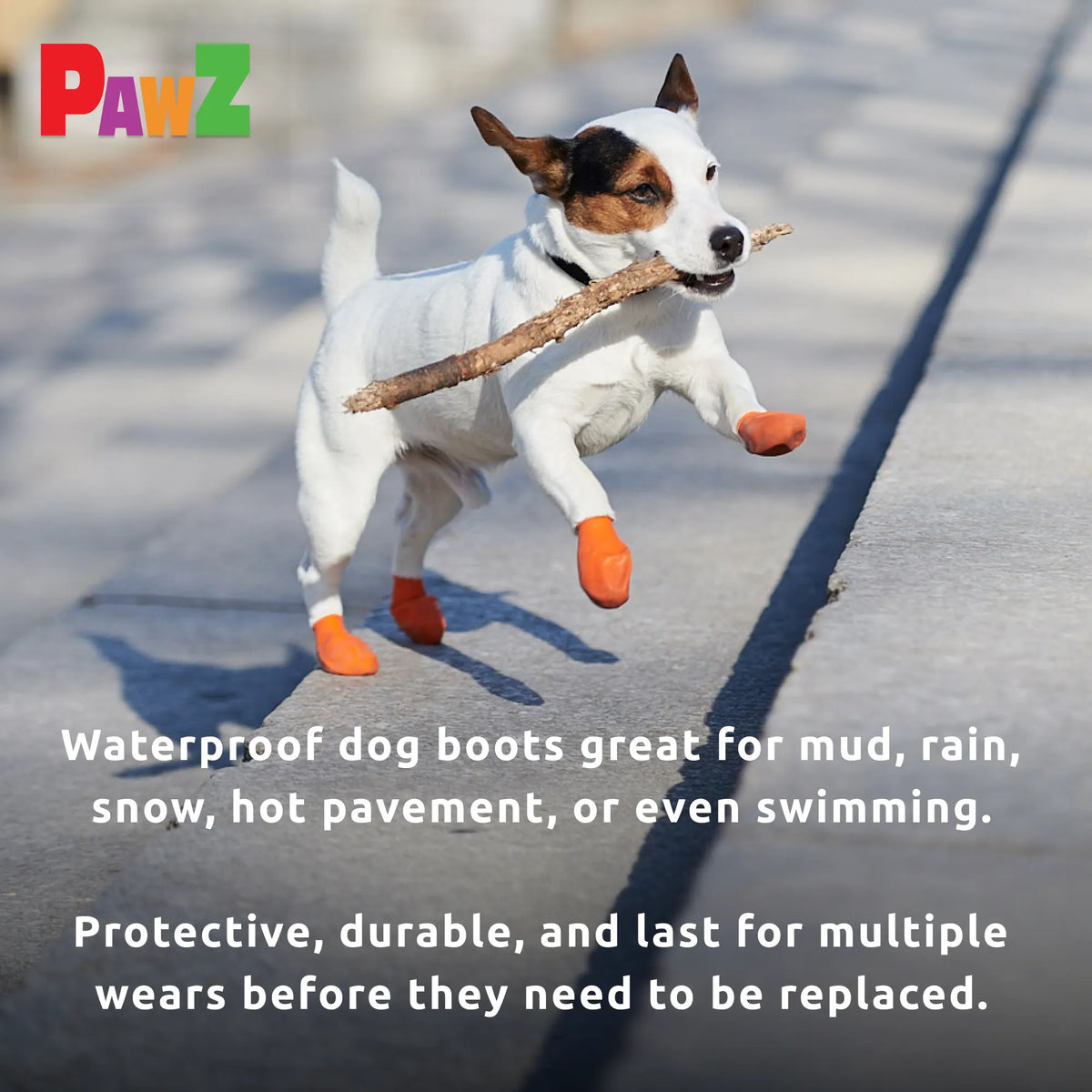 Dog Boot Set product image 22