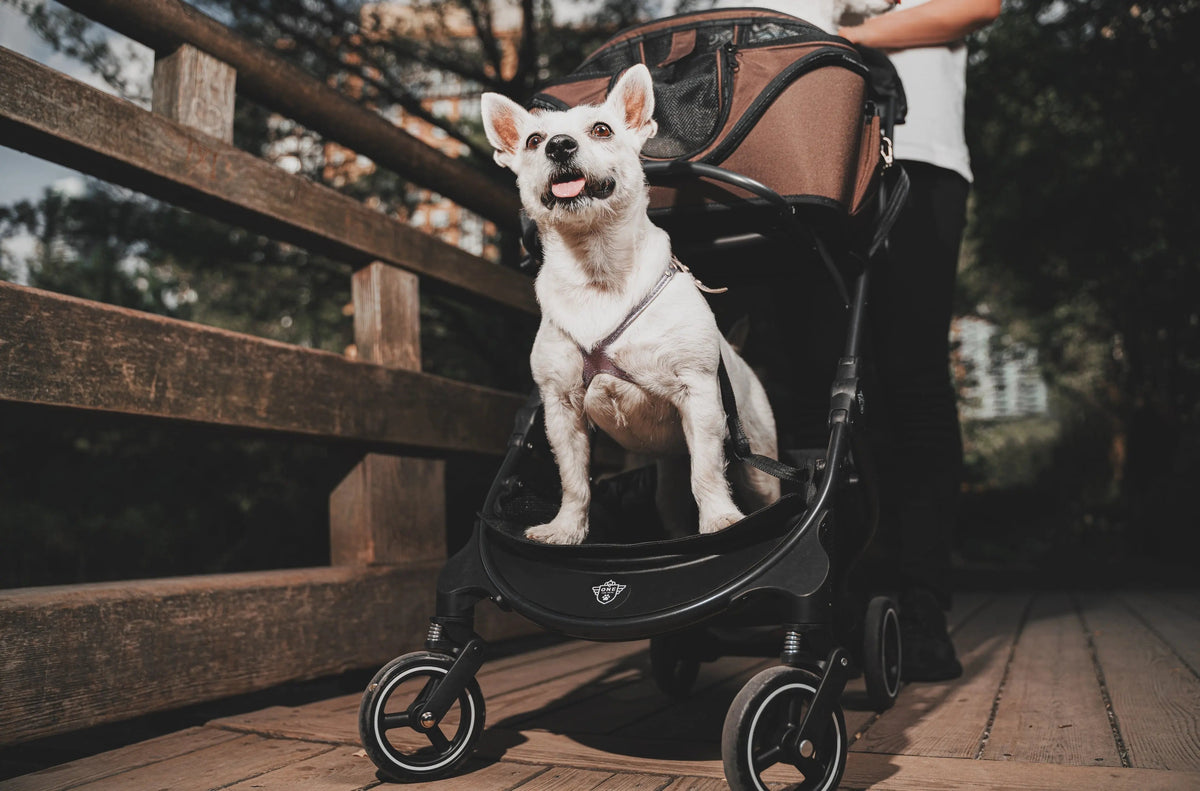 Pet Stroller Base for Detachable Carriers: Compact Folding Frame, Quick-Release Rack and Storage Hooks