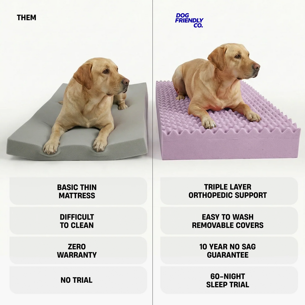 Orthopedic Dog Bed product image 4
