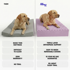 Orthopedic Dog Bed product image 4
