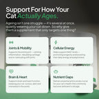 Cat Supplement product image 2