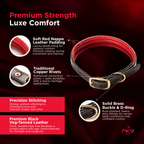 Leather Dog Collar for Strong, Comfortable Handling: Padded Veg-Tanned Design with Brass Hardware