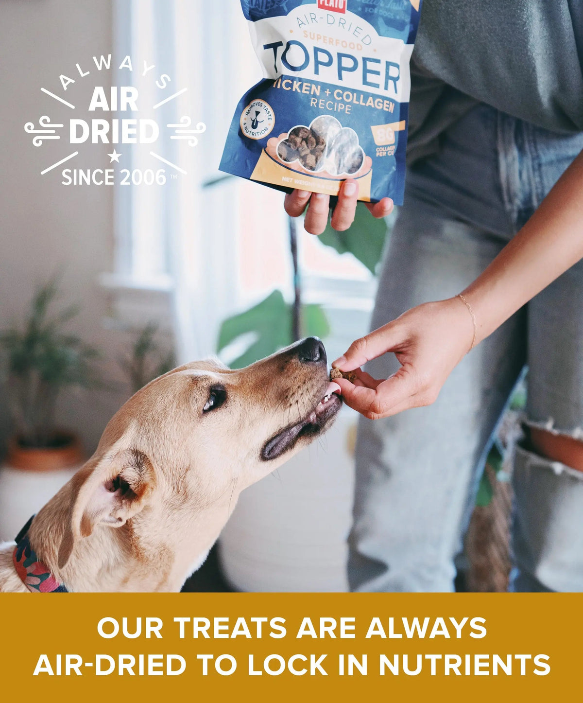Pet Food Topper product image 3