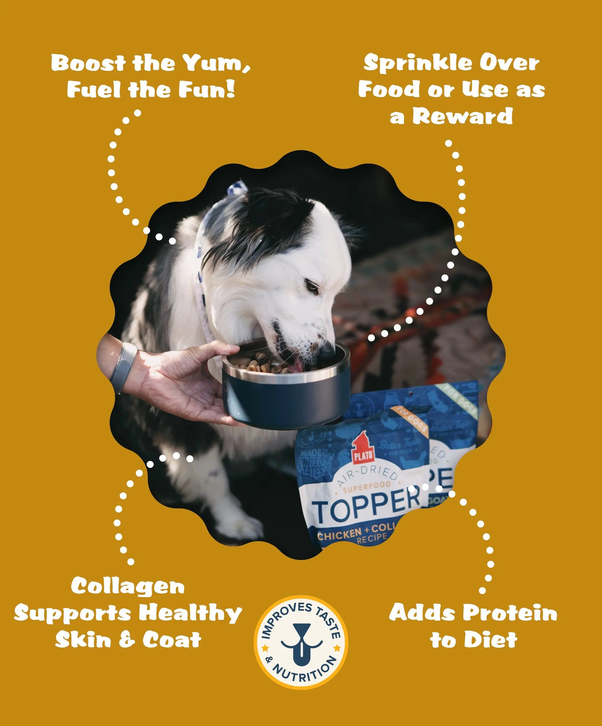 Pet Food Topper product image 4