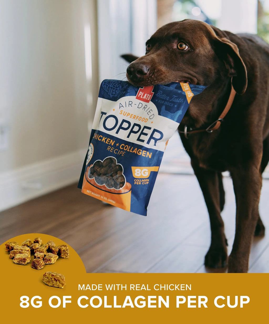 Pet Food Topper product image 5
