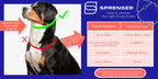 Dog Prong Collar product image 9