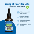 Cat Heart Supplement, Holistic Liquid Cardiovascular Support for Daily Feline Wellness: Bacon Flavor