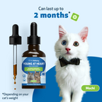 Cat Heart Supplement, Holistic Liquid Cardiovascular Support for Daily Feline Wellness: Bacon Flavor