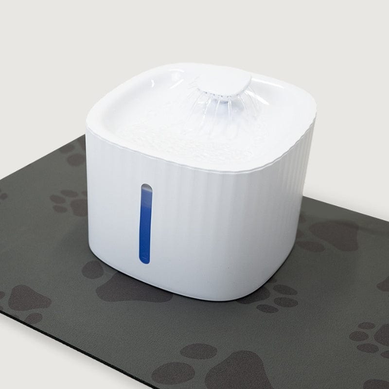 Filtered Cat Water Fountain Cat Water Fountain