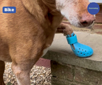 Breathable Rubber Dog Boots product image 28