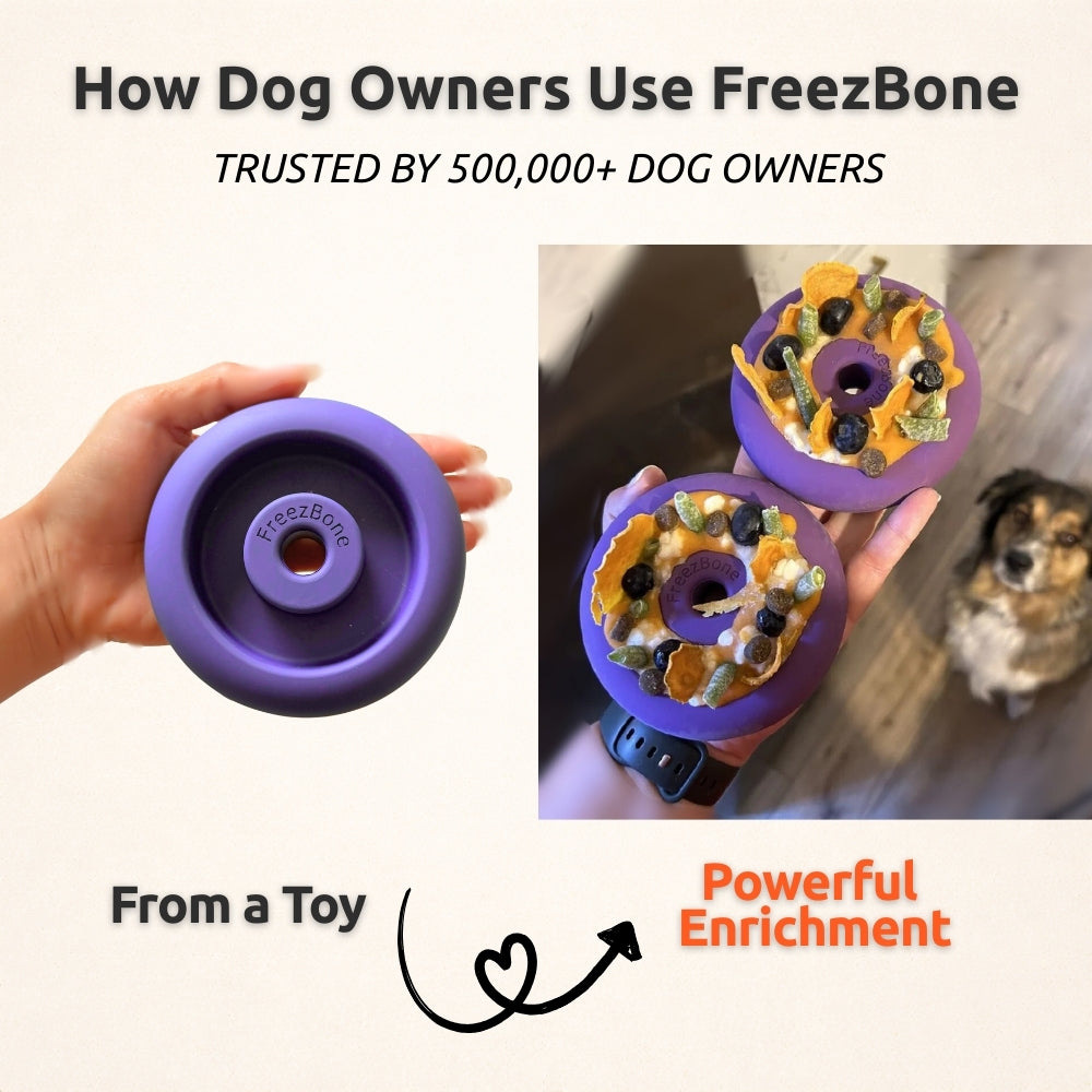 Fillable Rubber Doughnut Dog Toy product image 7