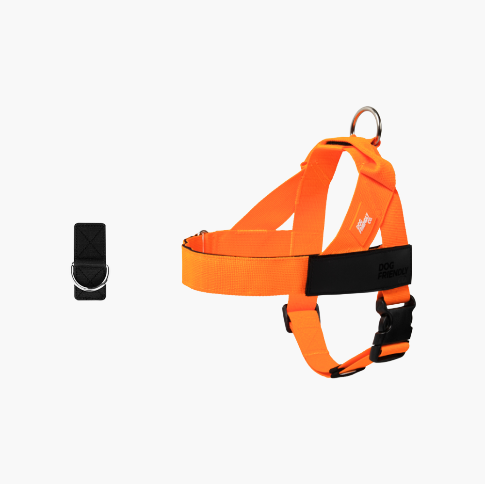 Adjustable Grab-Handle Dog Harness product image 35