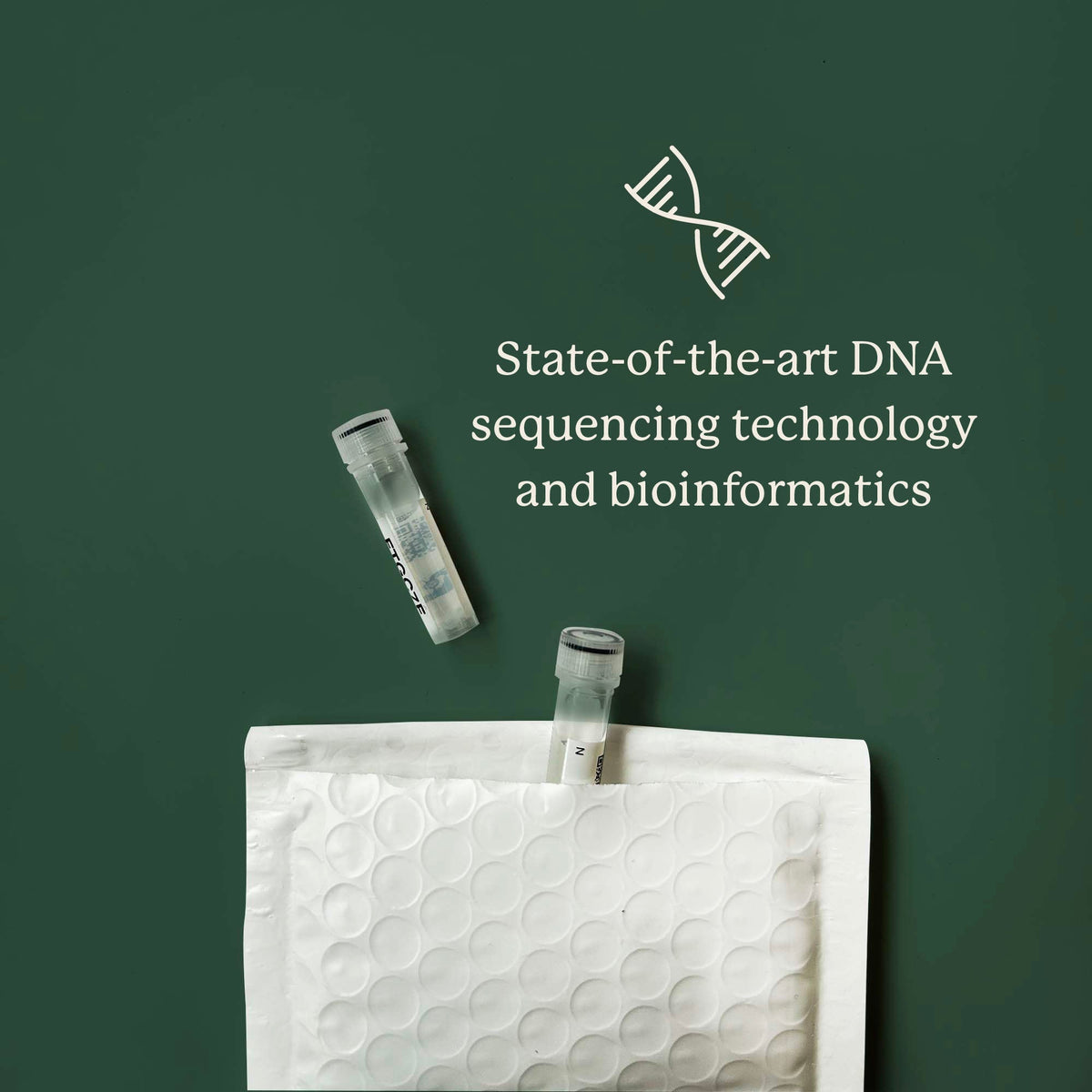 Dog Gut Microbiome Test Kit product image 13