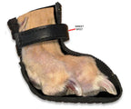 Greyhound and Whippet Dog Boots product image 6