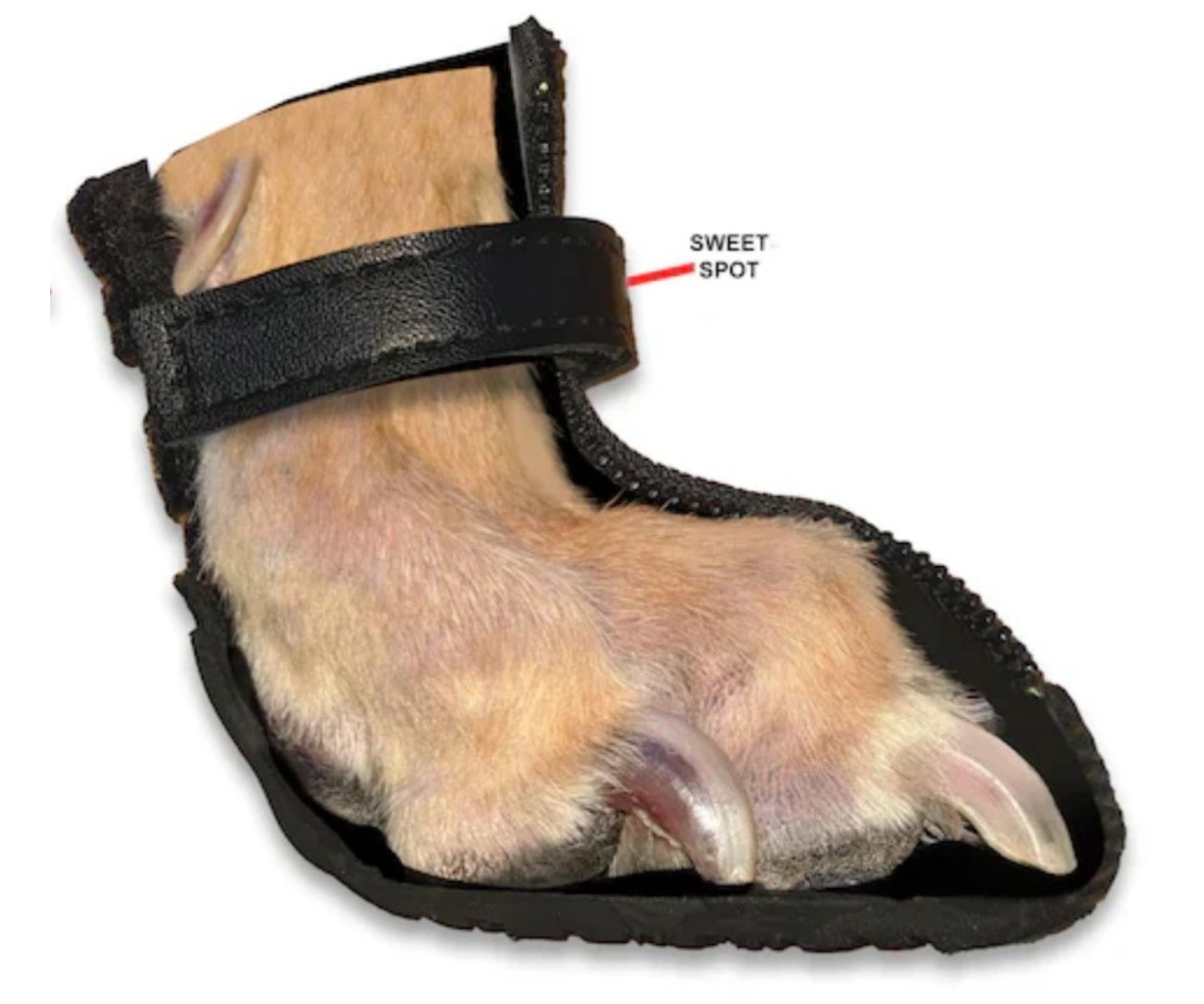 Greyhound and Whippet Dog Boots product image 6