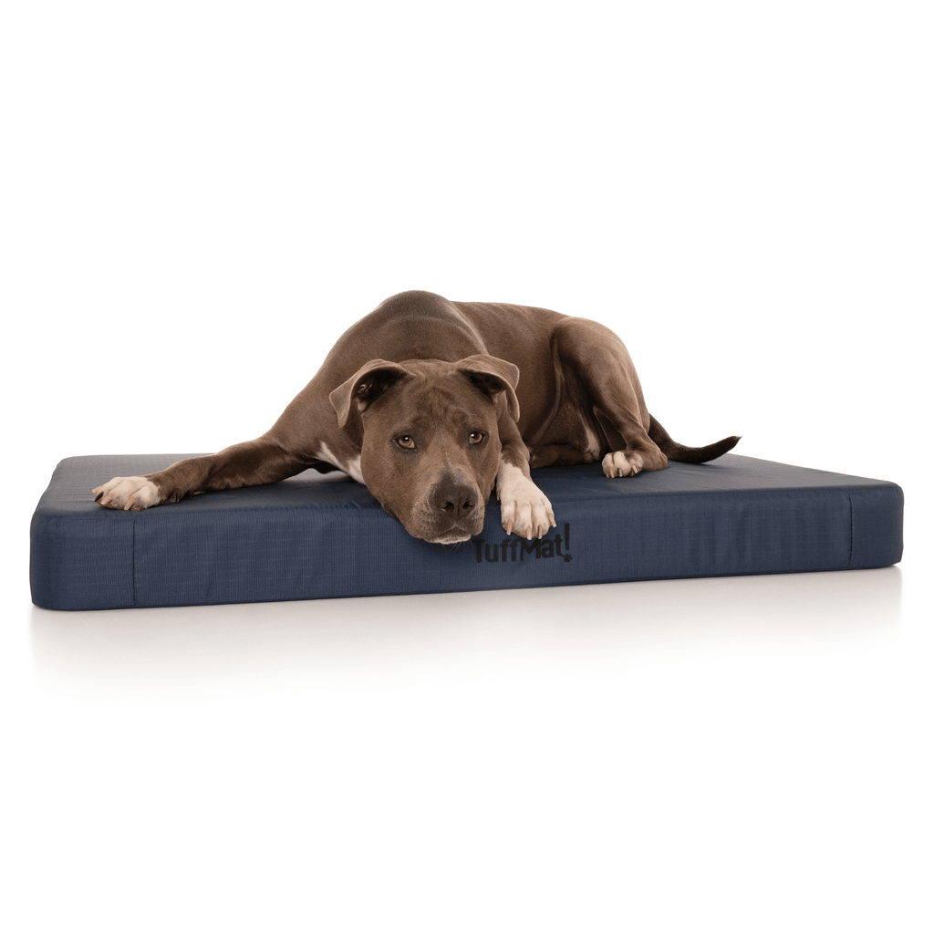 Waterproof Orthopedic Dog Bed product image 18