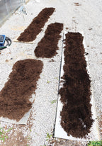 Planted Aquarium Soil Base Layer product image 17