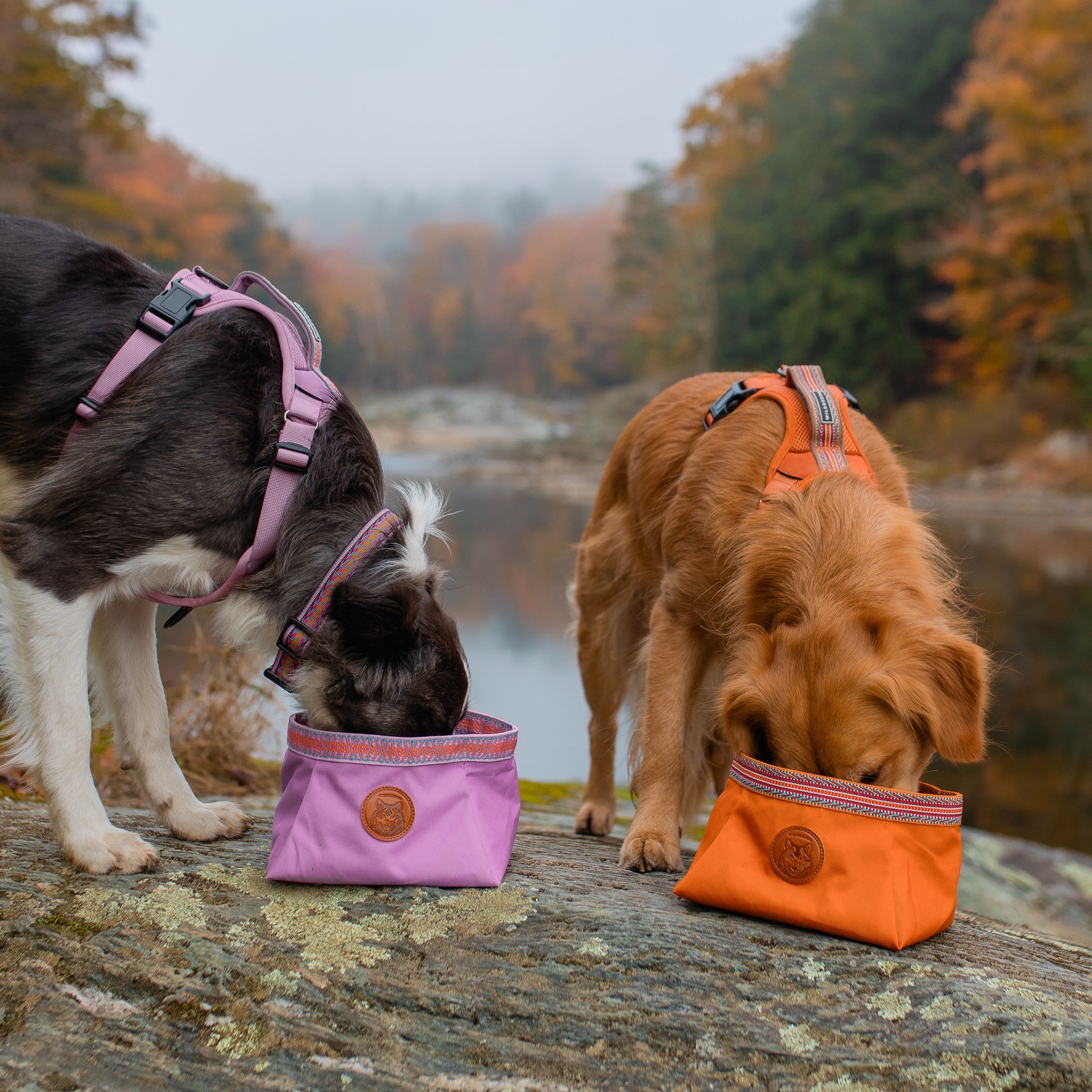 Packable Dog Travel Bowl product image 10