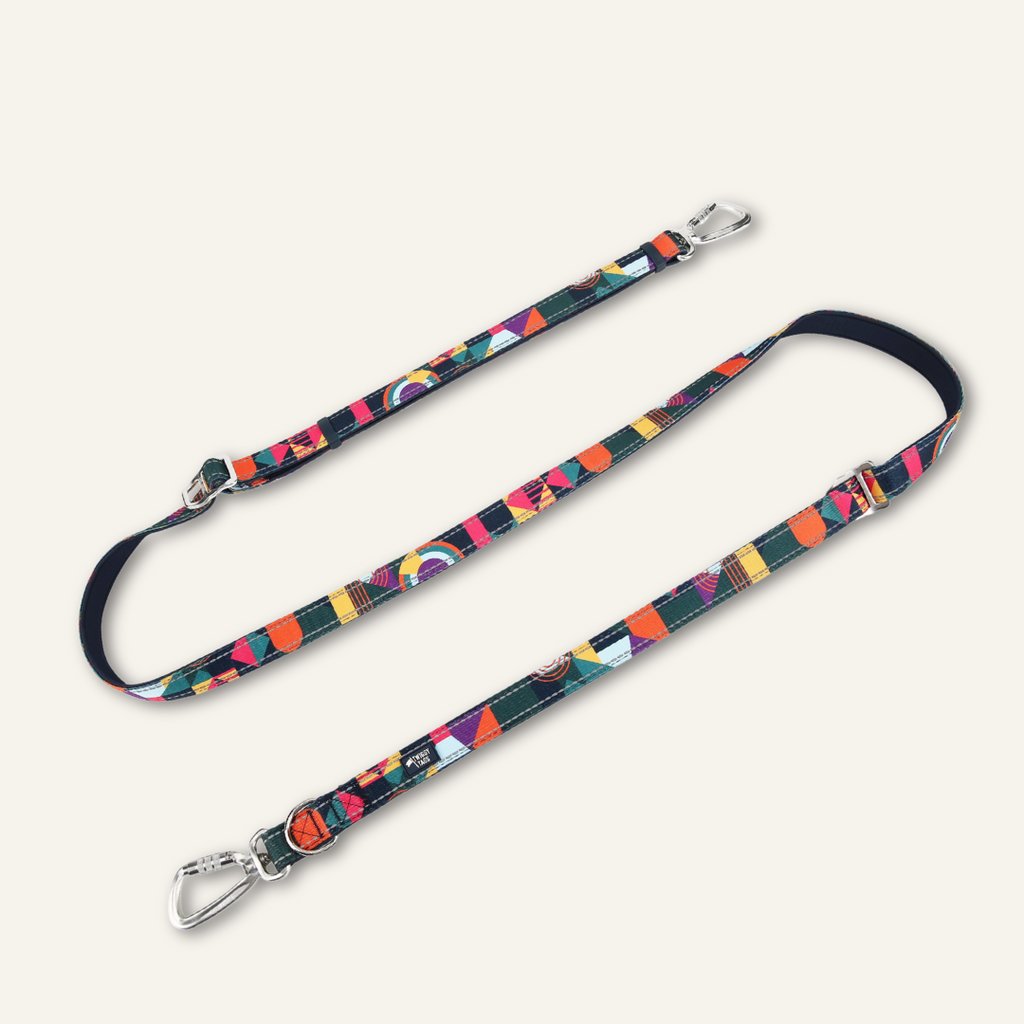 Adjustable Multi-Way Dog Leash Aurora
