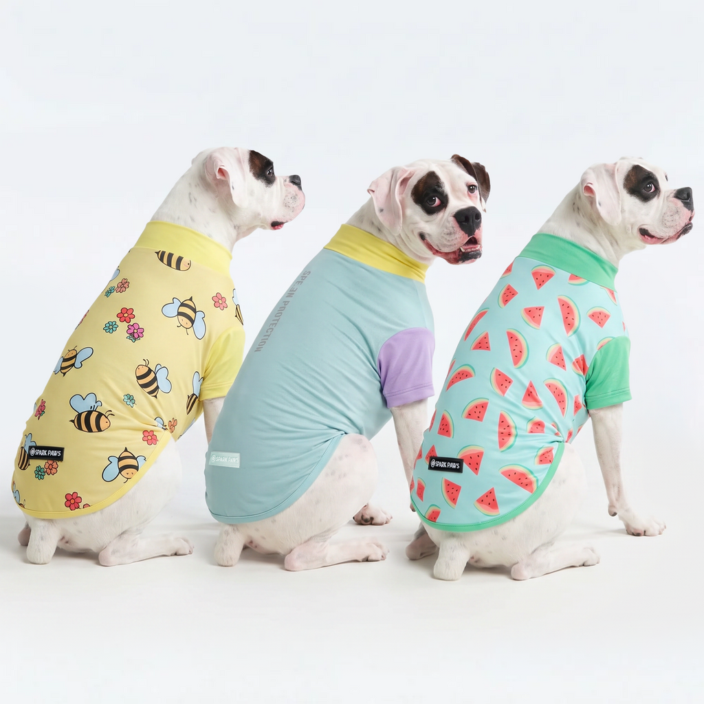 UPF 30 Dog Sun Shirt product image 76