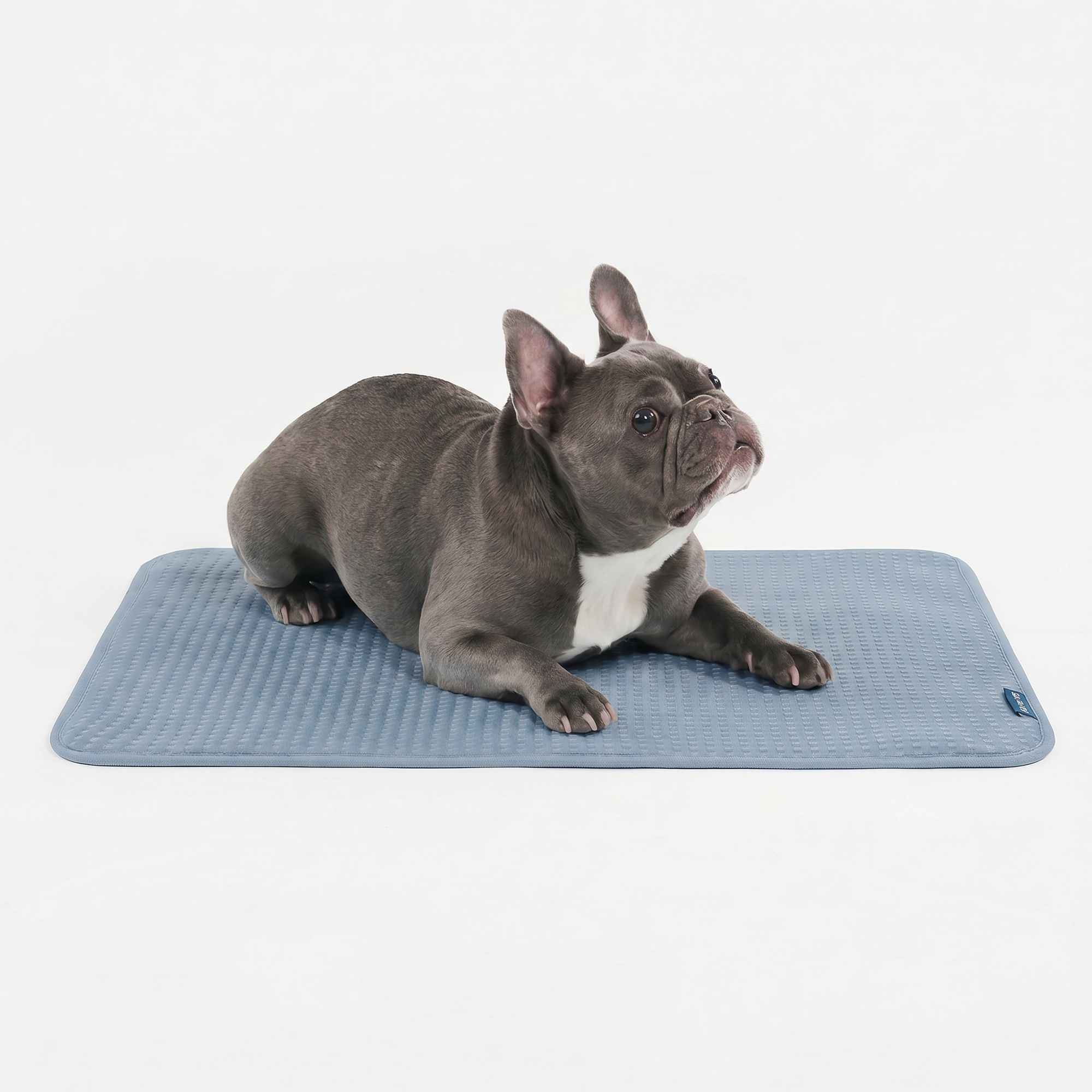 Breathable Cooling Dog Mat product image 82