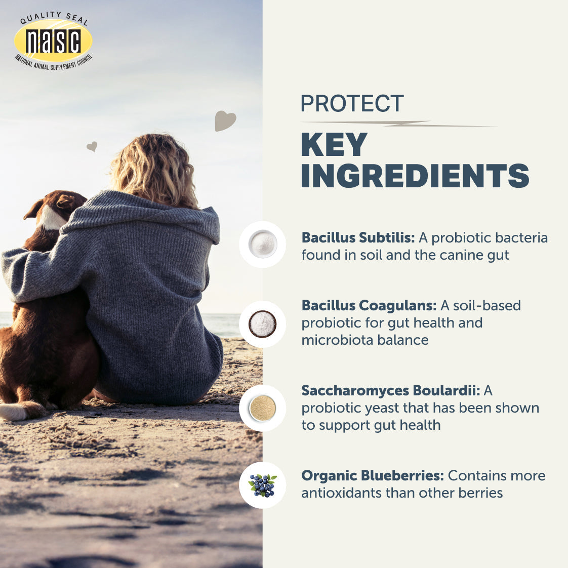 Soil-Based Probiotic Powder for Dogs product image 9