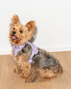 Cushioned No-Pull Dog Harness product image 28