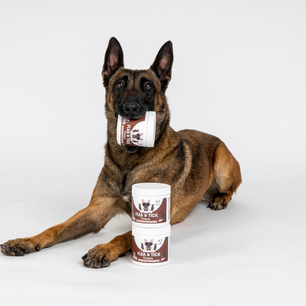Flea and Tick Support Chews for Dogs product image 11