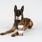 Flea and Tick Support Chews for Dogs product image 11
