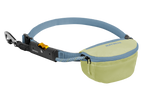 Adjustable Dog Leash and Hitching System product image 1