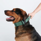 Control-Handle Dog Collar product image 2