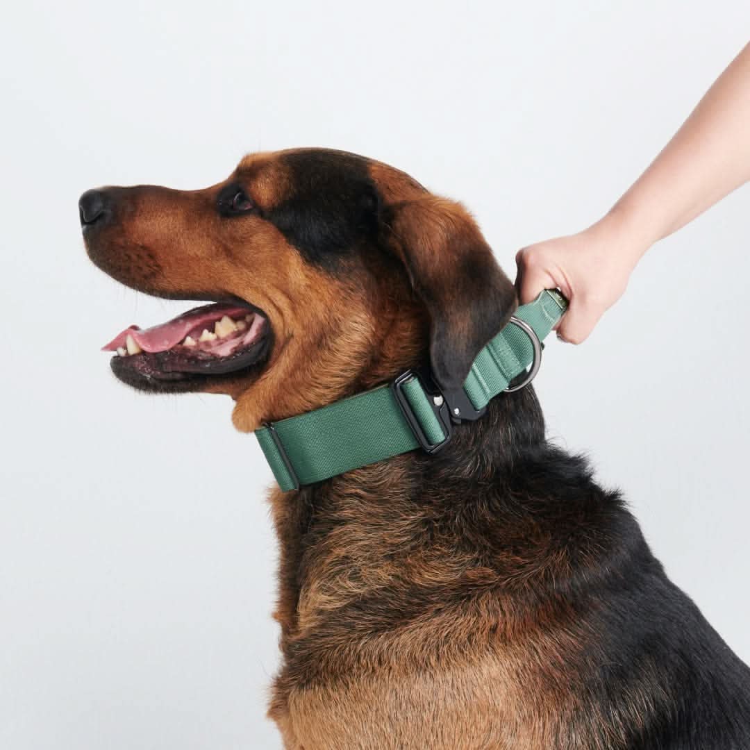 Control-Handle Dog Collar product image 2