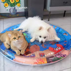 Water-Filled Dog Cooling Bed product image 10