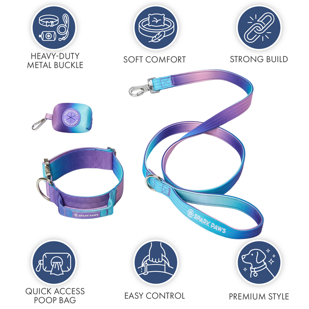 Tactical Dog Collar and Leash Set product image 3