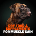 Dog Food and Supplement Bundle product image 2