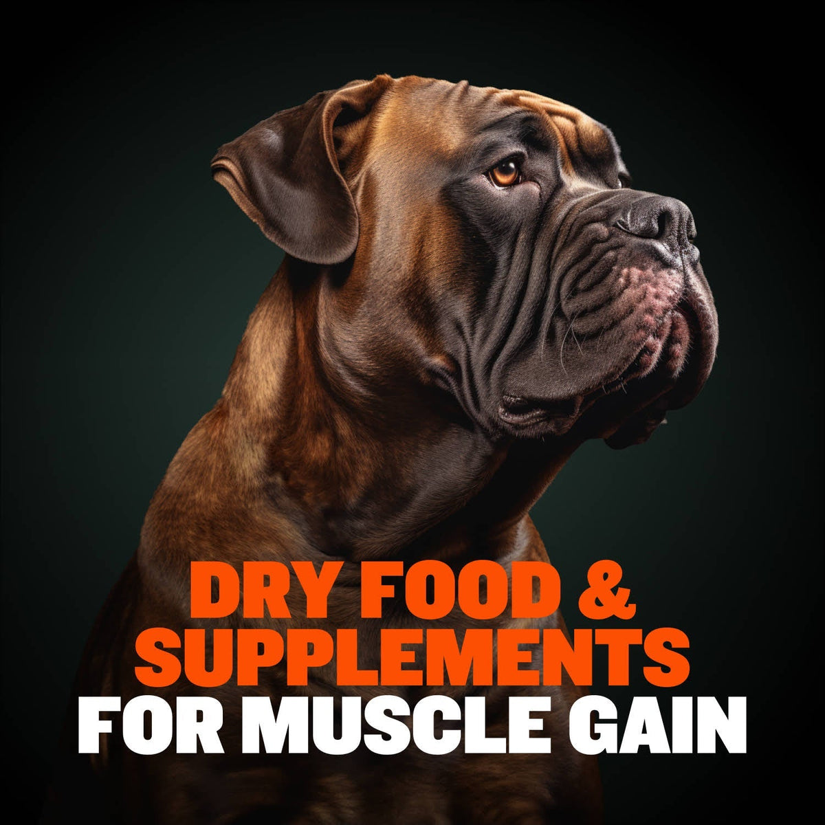 Dog Food and Supplement Bundle product image 2