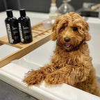 Dog Shampoo and Conditioner Set product image 8