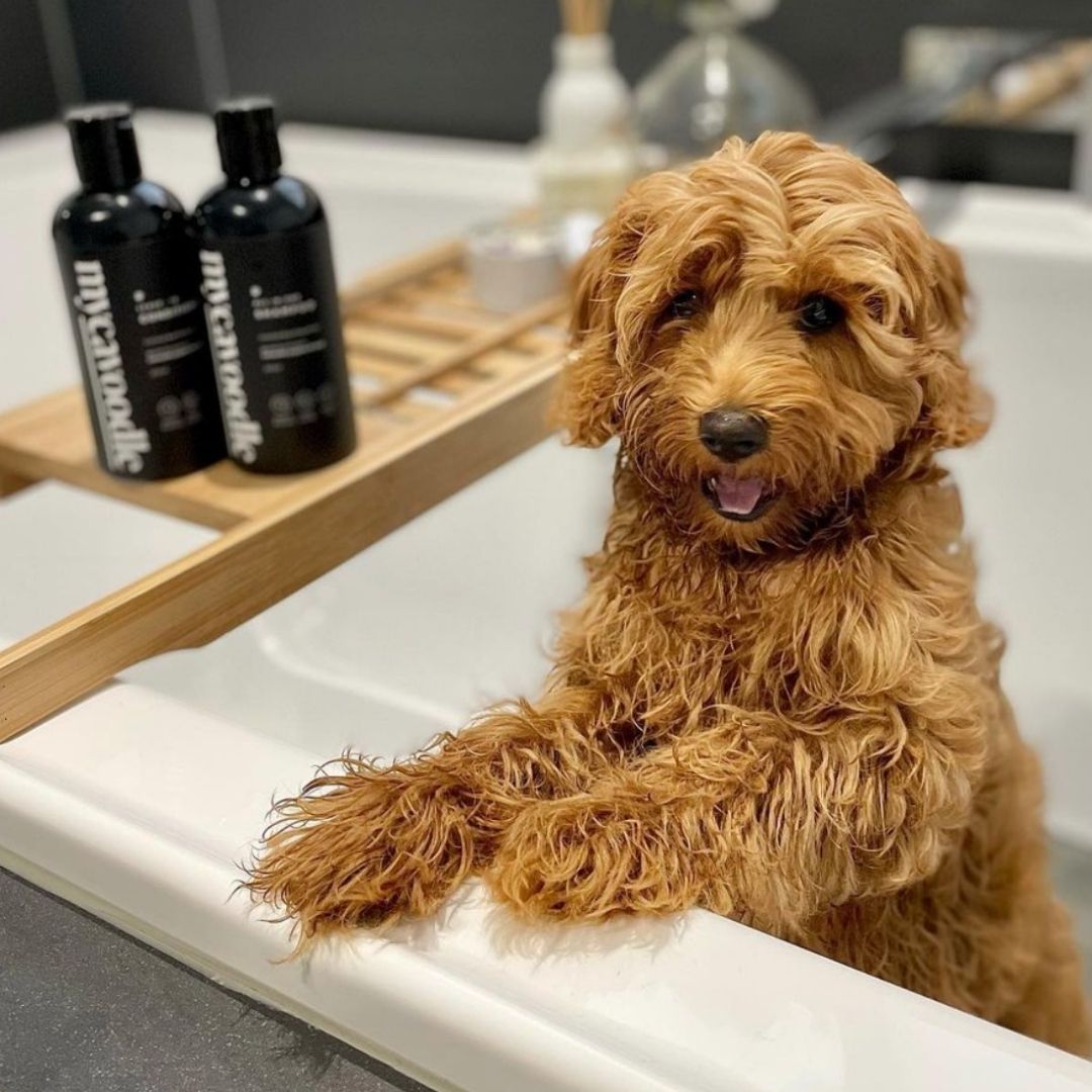 Dog Shampoo and Conditioner Set product image 8