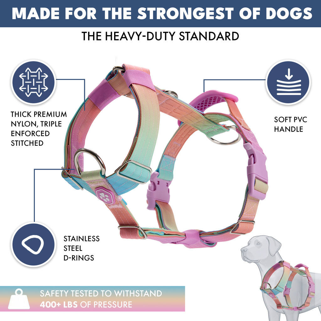 No-Pull Dog Harness Walking Set product image 9