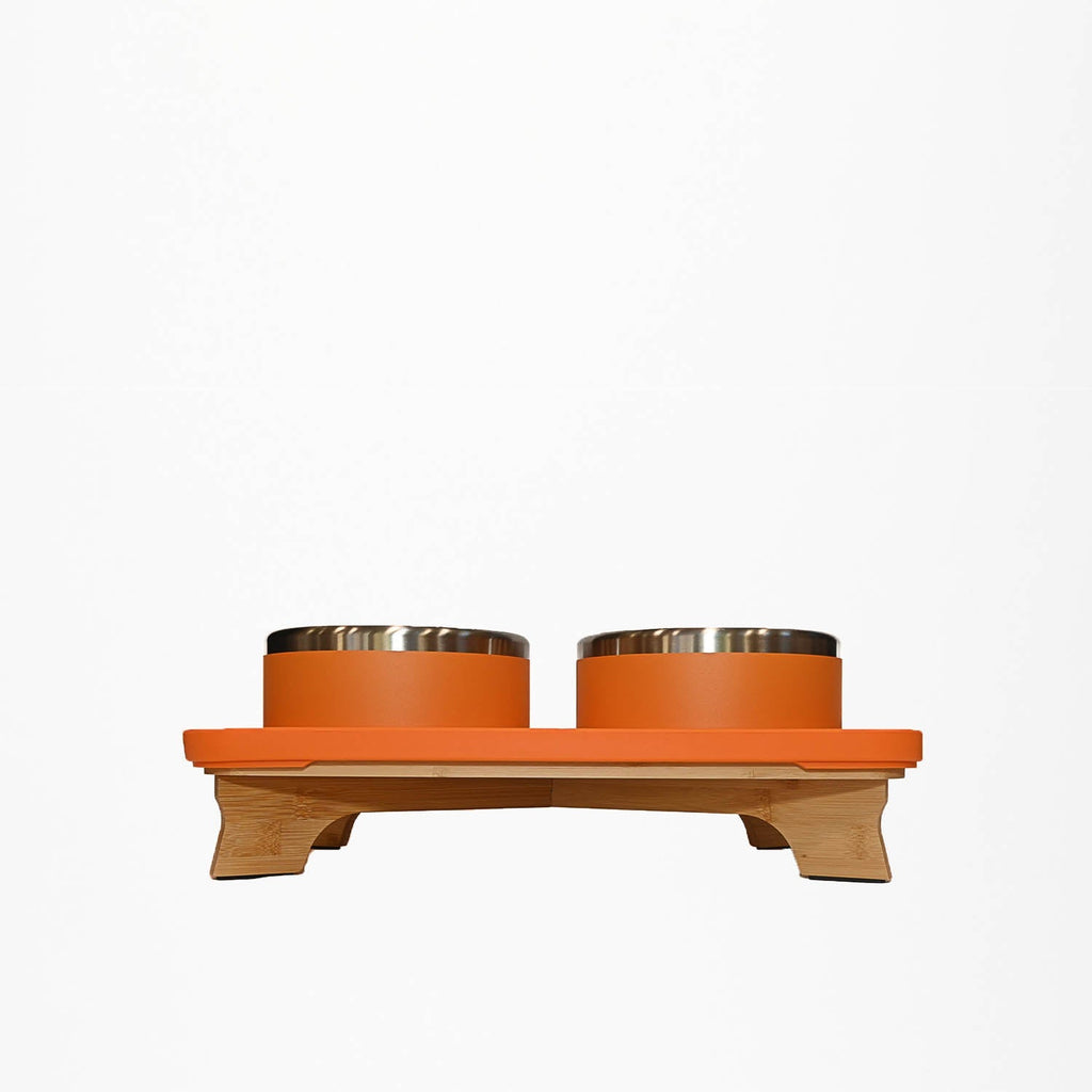 Elevated Pet Slow Feeder and Bowl Set product image 31