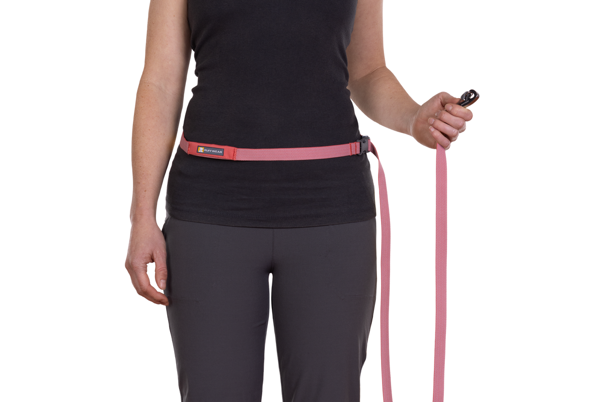 Hands-Free Dog Leash product image 41