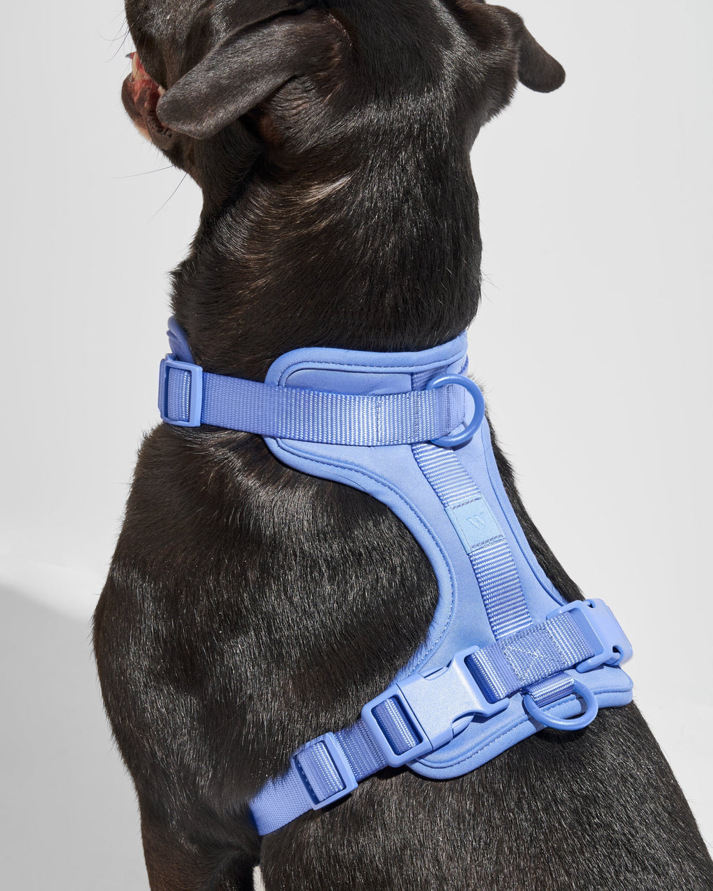 Cushioned No-Pull Dog Harness product image 31