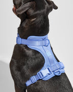 Cushioned No-Pull Dog Harness product image 31