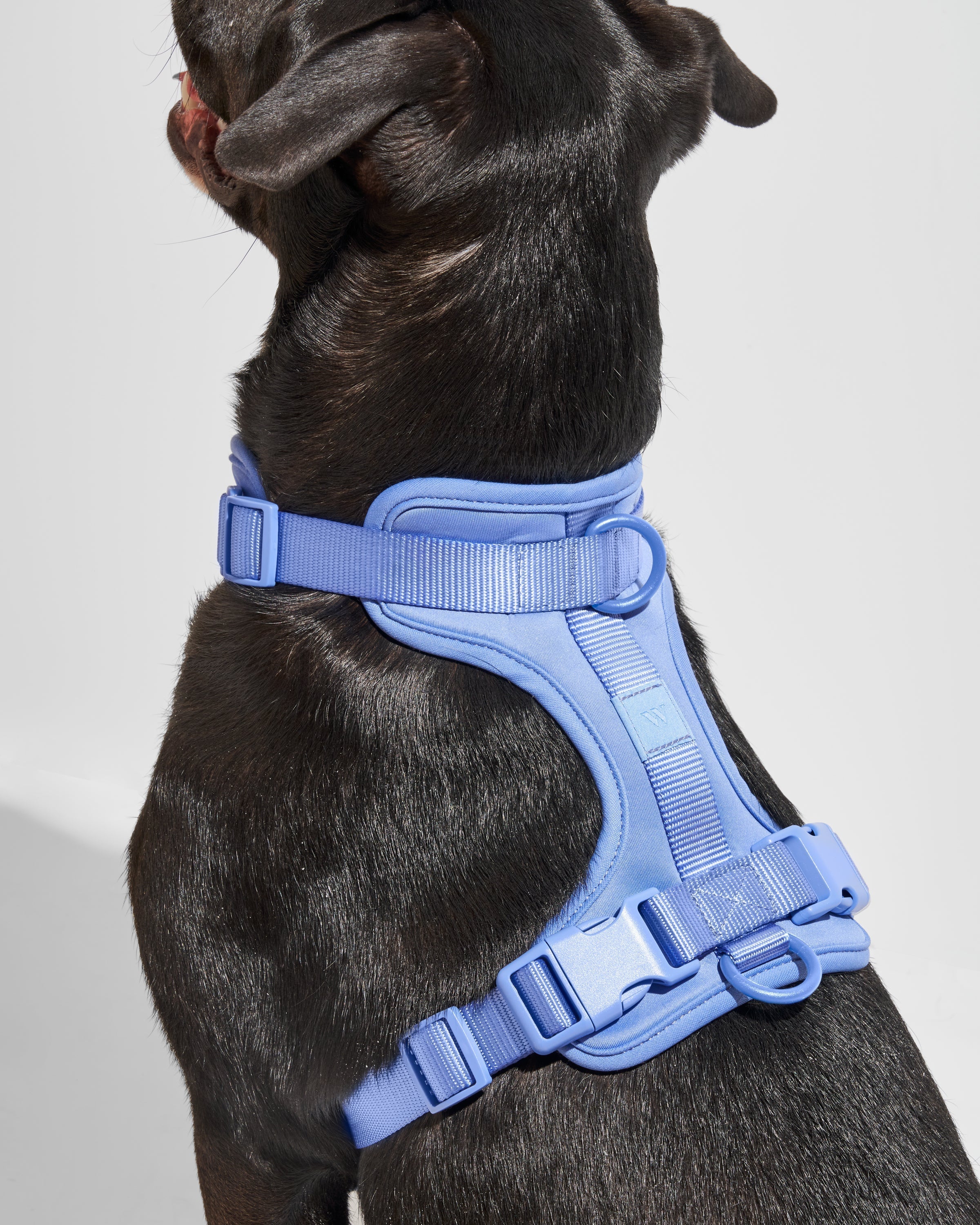 Cushioned No-Pull Dog Harness product image 31