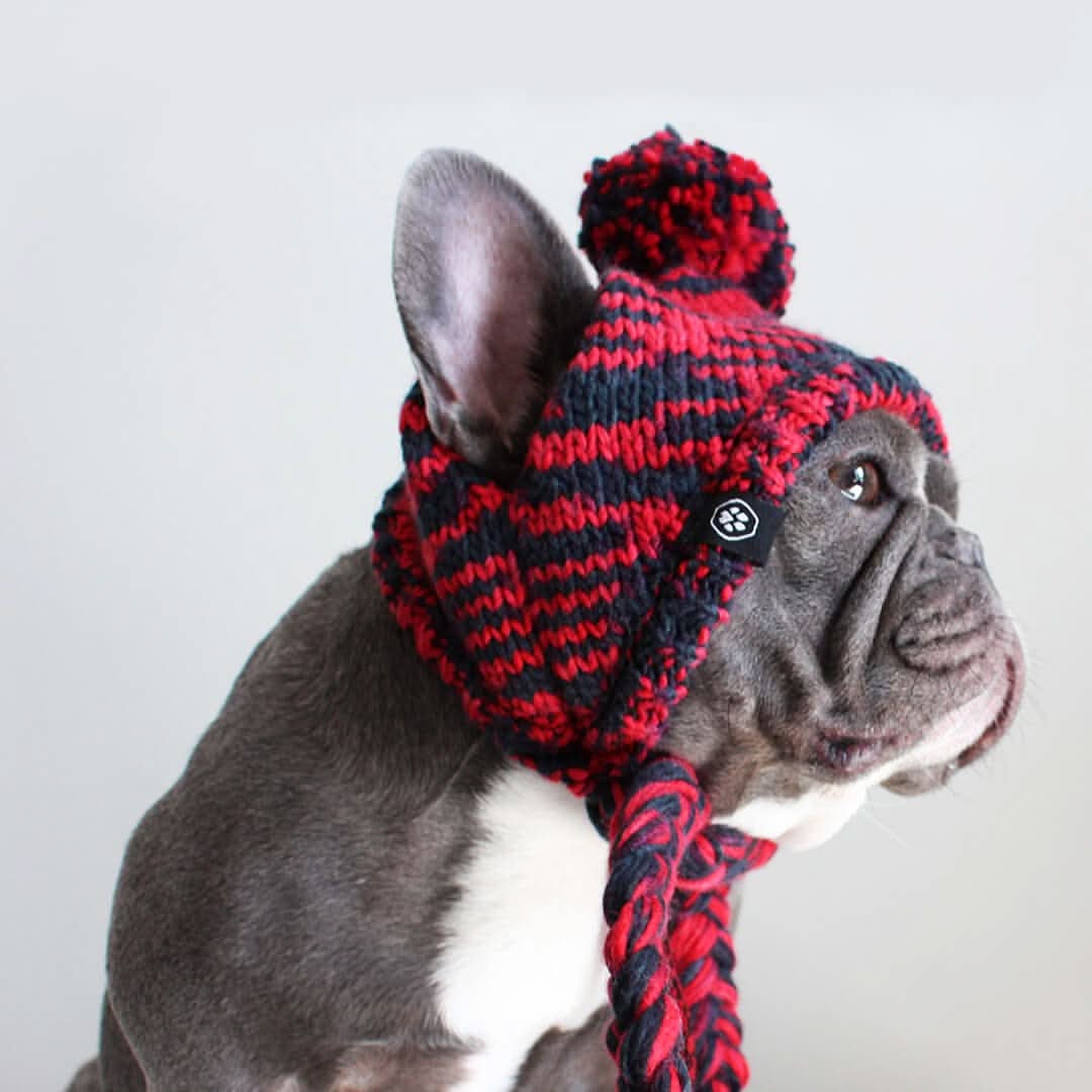 Knit Pom-Pom Dog Beanie product image 8